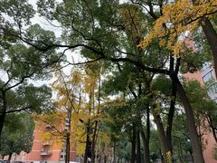 -四川大学(望江校区)
