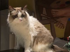 -咖法森林·咖啡  酒吧(天河店)