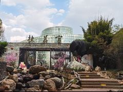 -昆明植物园