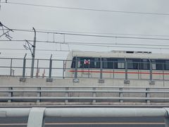 -海堤纪念公园