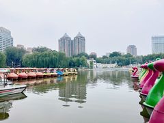 -团结湖公园