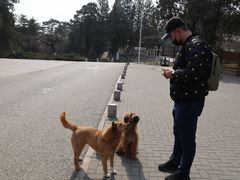 -北京鹫峰国家森林公园