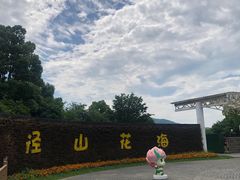 -径山花海