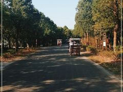 -上海海湾国家森林公园