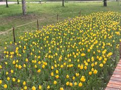 -长春公园(普阳街道)