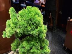-映水芙蓉(上海万象城店)