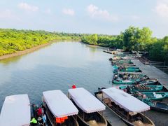 -东寨港红树林旅游区