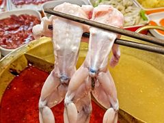 -铭记蛙小仙·活蛙畅享(CBD万达广场店)