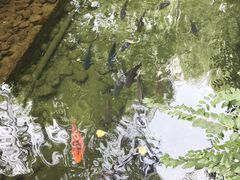 -趵突泉景区