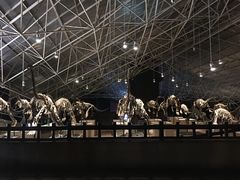 -世界恐龙谷景区