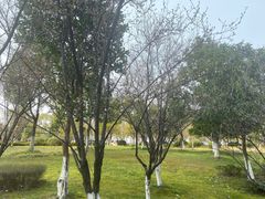 -悦江新远影城IMAX