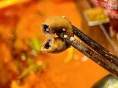 -川西坝子火锅(金沙1.0直营店)