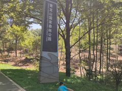 -青龙山国家森林公园