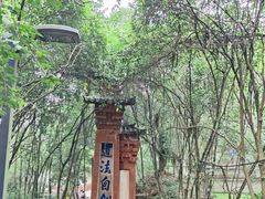 -老君山