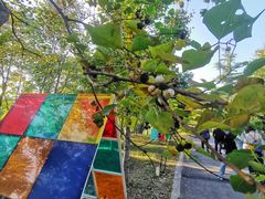 -太阳岛度假酒店