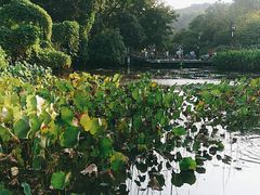 -杭州半山国家森林公园