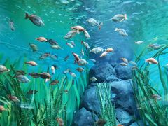 -上海海洋水族馆