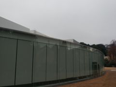 -金泽21世纪美术馆