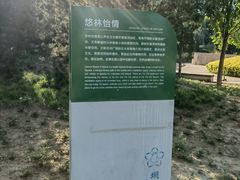 -坝河休闲公园