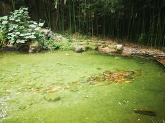 游乐设施-竹泉村旅游度假区