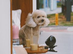 -Line 咖啡(石厦花园店)