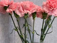 -来之顺海鲜菜馆·青岛菜·始于1993(栈桥店)