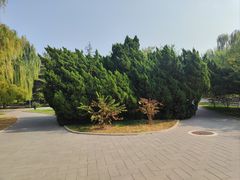 -万柳阁小馆·花园餐厅(龙潭湖店)