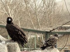 -石家庄市动物园