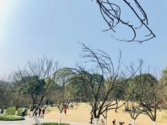 -南山植物园