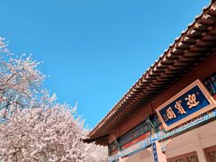 -桃花堤公园