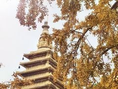 -北京石刻艺术博物馆(五塔寺)