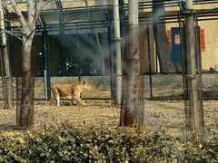-秦皇岛野生动物园
