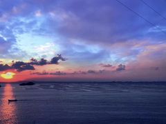-枸杞岛