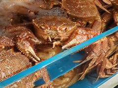 -蟹田居·活蟹料理(东城店)