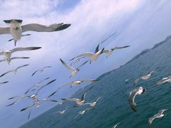 -海驴岛(荣成市)