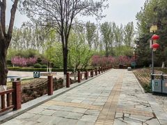 -燕郊植物园