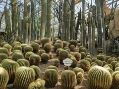 -南山植物园