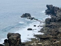 -白沙湾海滩