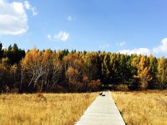 -塞罕坝国家级自然保护区