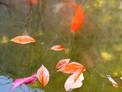 -半岛1919创意园区