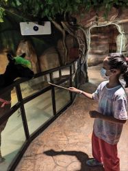 -酷嗒动物文化乐园(cutezoo西溪乐天城店)