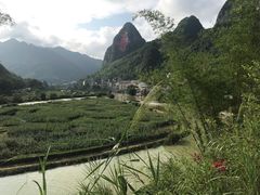 -长寿村