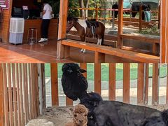 -郑州方特梦幻王国