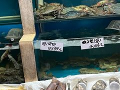 -胶东海鲜大排档(北太平庄店)