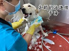 -达爱动物医院·犬猫分区·CT·复杂眼科(远洋山水分院)