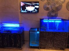 水产区-酌宴府The China Club·广州万富希尔顿酒店(云城东路店)