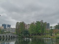 -四海公园(南山区)