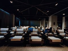 -齐河孔雀王温泉酒店·金孔雀自助百汇