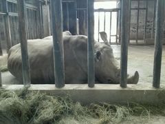 -石家庄市动物园