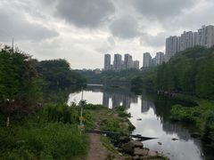 -重庆彩云湖湿地公园